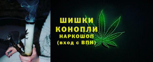 ПСИЛОЦИБИНОВЫЕ ГРИБЫ Няндома