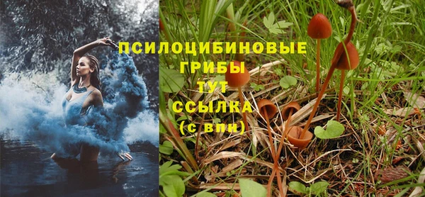 ешки Абаза
