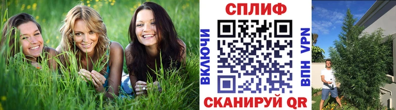 Бошки Шишки ГИДРОПОН  Энем 